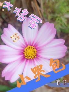 大将军的电动三轮车